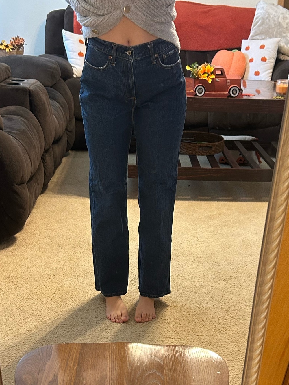 Abercrombie & Fitch Dark Curve Love The Baggy Low Rise size 24 Short